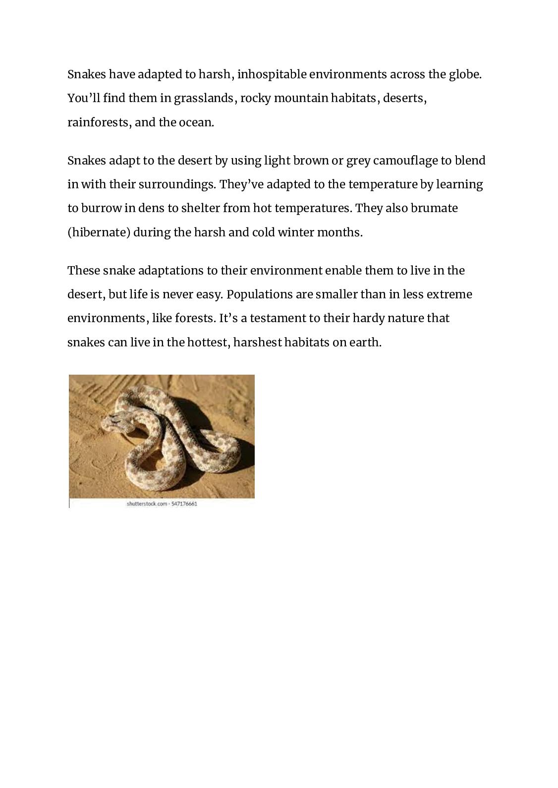Adaptations Of Snakes In Winter