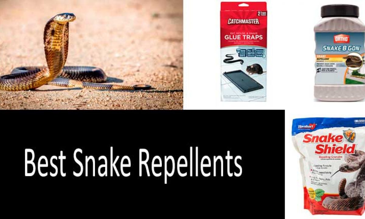 How To Apply Snake Away