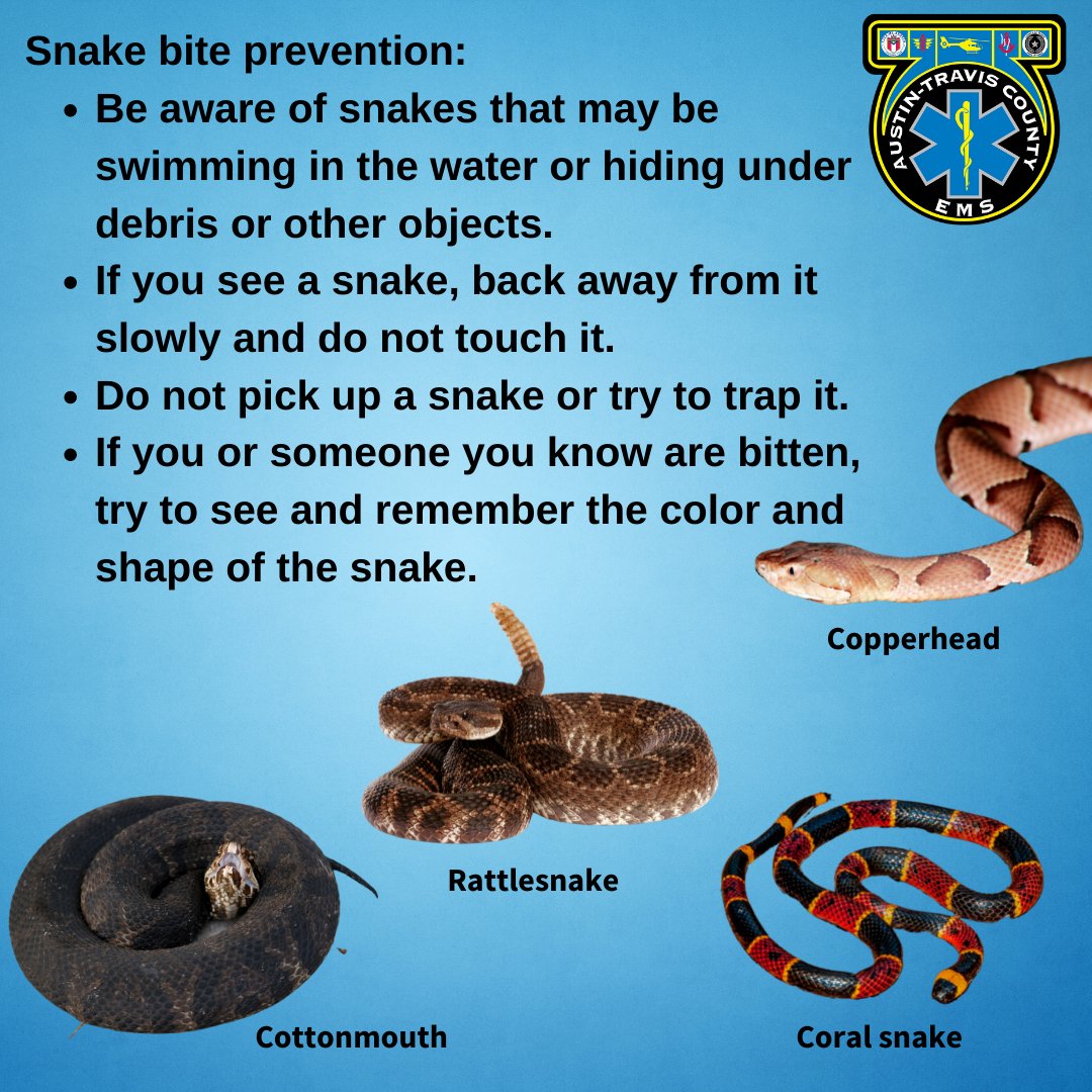 Prevention Of Snakes