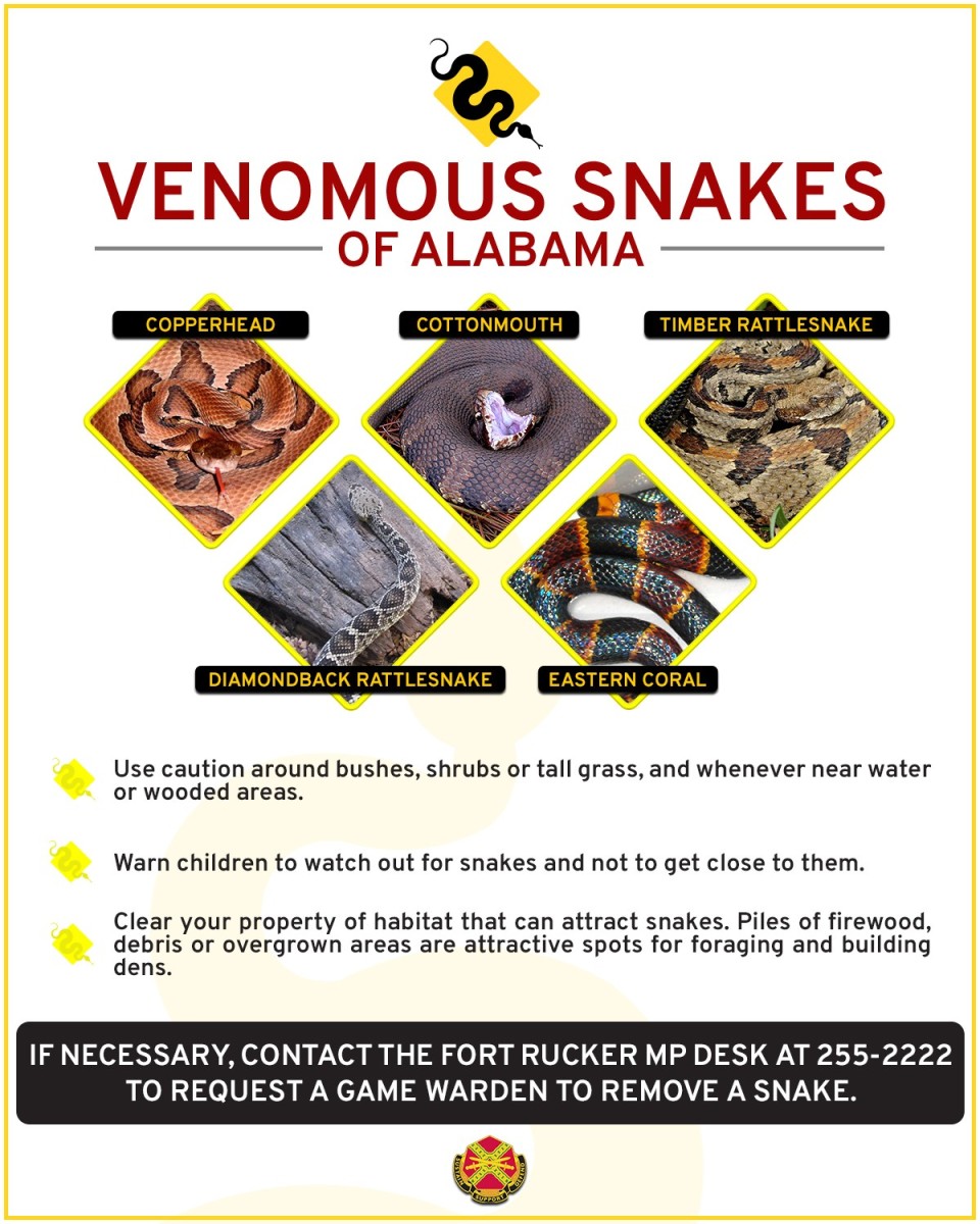 Snake Safety Tips