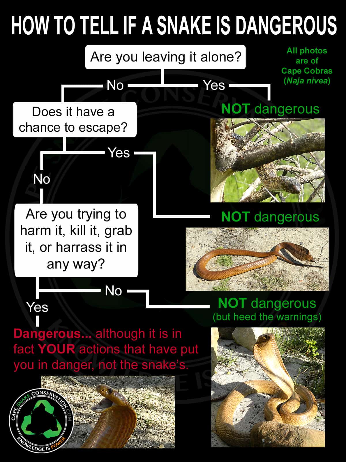 What To Do If You Encounter A Snake While Hiking